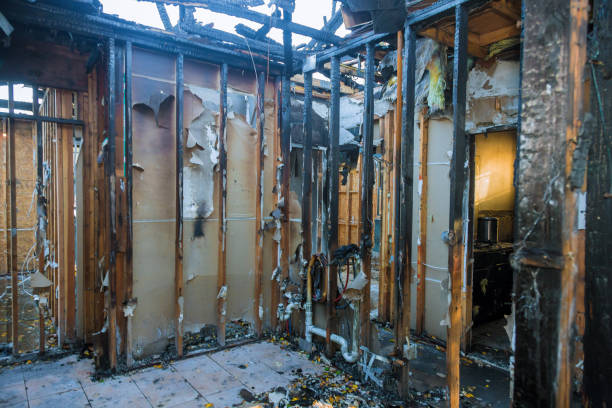 Professional Fire Damage Repair technician working in Mount Airy, MD